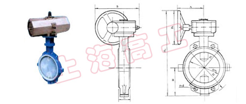 DD71FS DD371FS 填料式可调衬氟塑料蝶阀