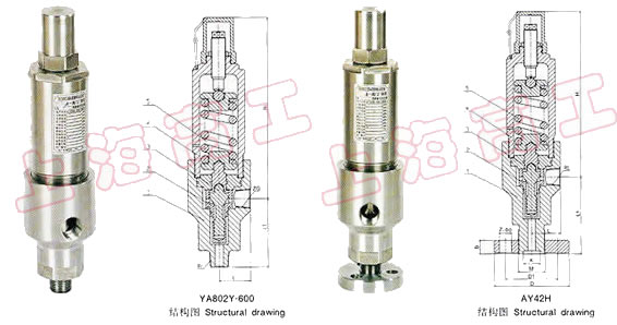A61H A61Y 安全益流阀